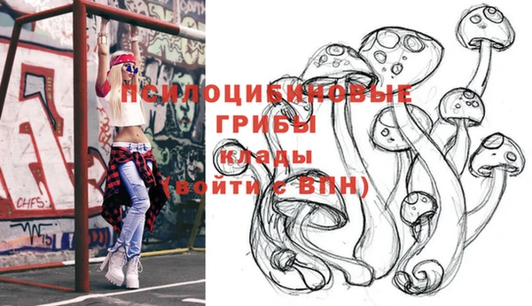 круглые Новозыбков