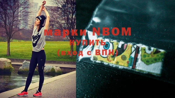 трава Новодвинск