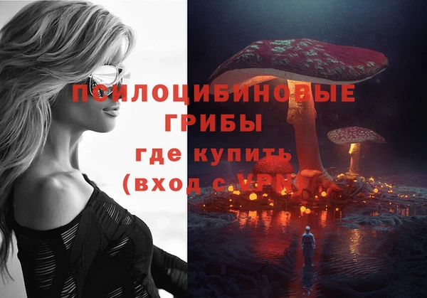 трава Новодвинск