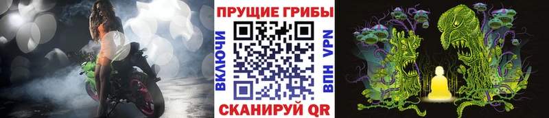 Псилоцибиновые грибы ЛСД  Купить где  Иваново 